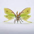 150PCS+ Steampunk 3D Metal Actias Ningpoana Model DIY Kits