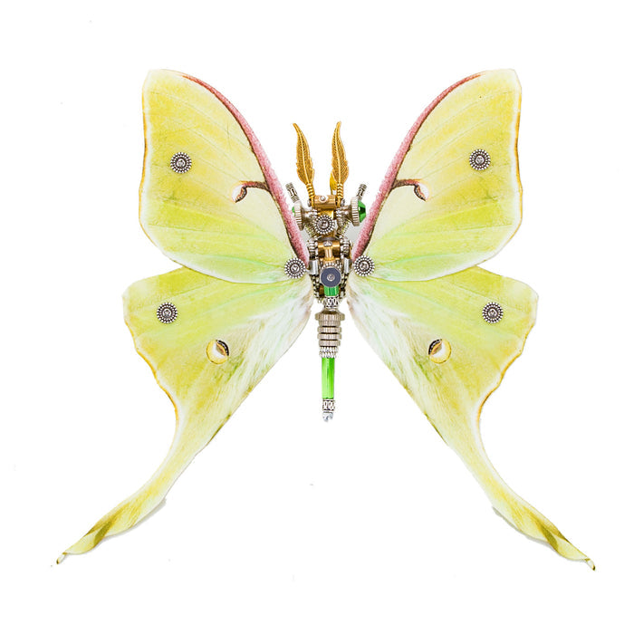 150PCS+ Steampunk 3D Metal Actias Ningpoana Model DIY Kits