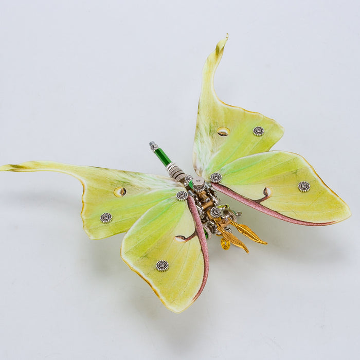 150PCS+ Steampunk 3D Metal Actias Ningpoana Model DIY Kits