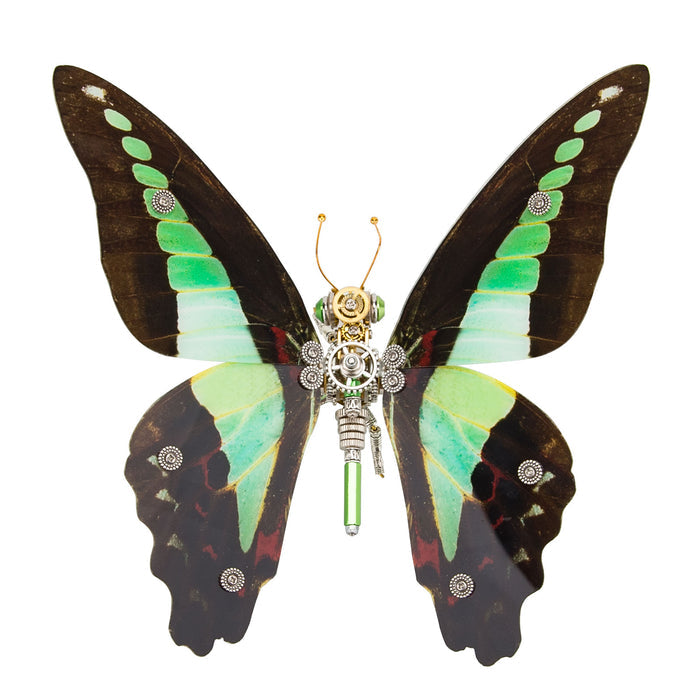 150PCS+ Steampunk 3D Metal Graphium Sarpedon Linnaeue Model DIY Kits