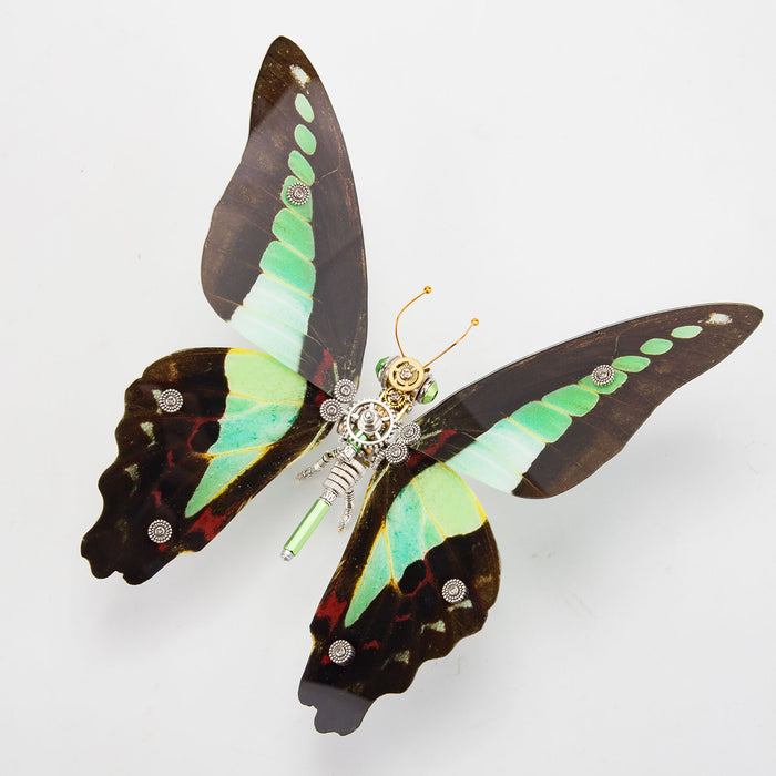 150PCS+ Steampunk 3D Metal Graphium Sarpedon Linnaeue Model DIY Kits