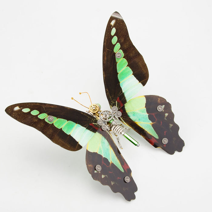 150PCS+ Steampunk 3D Metal Graphium Sarpedon Linnaeue Model DIY Kits