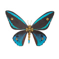 150PCS+ Steampunk Blue Butterfly 3D Metal Ornithoptera Priamus Model DIY Kits