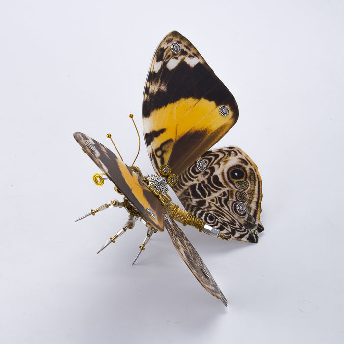 150PCS+ Steampunk Brown Butterfly with Orange Spots 3D Metal  Model DIY Kits