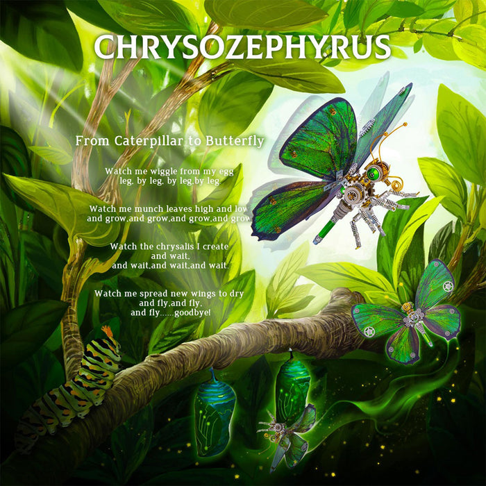 200PCS+ Steampunk Metal Assembly Butterfly Chrysiridia Rhipheus, Ornithoptera Meridionalis & Chrysozephyrus