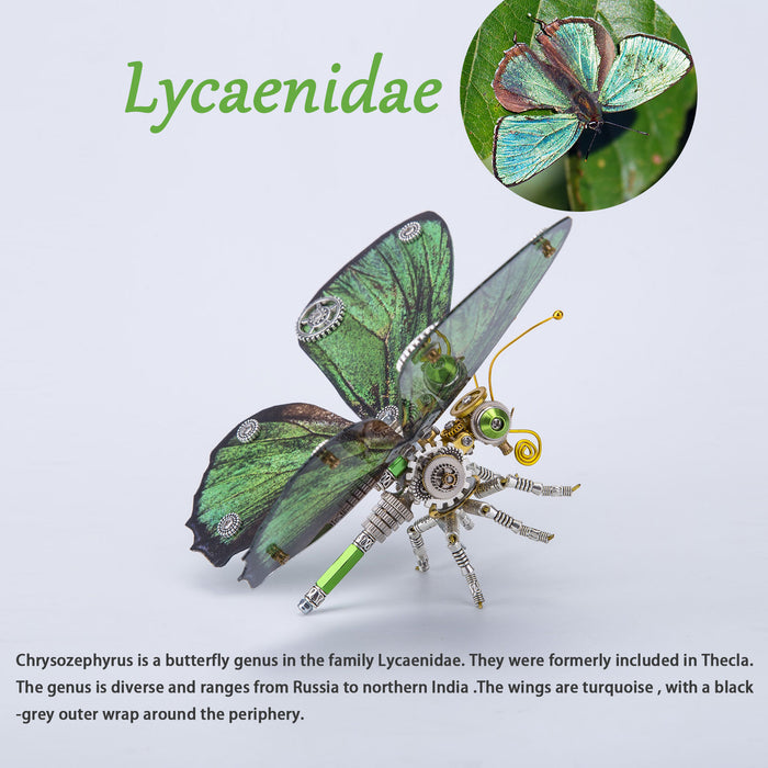 200PCS+ Steampunk Metal Assembly Butterfly Chrysiridia Rhipheus, Ornithoptera Meridionalis & Chrysozephyrus