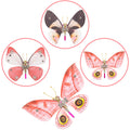200PCS+ Steampunk Metal Assembly Butterfly Lymantria Punicea, Alcides Orontes & Pierisrapae Linne