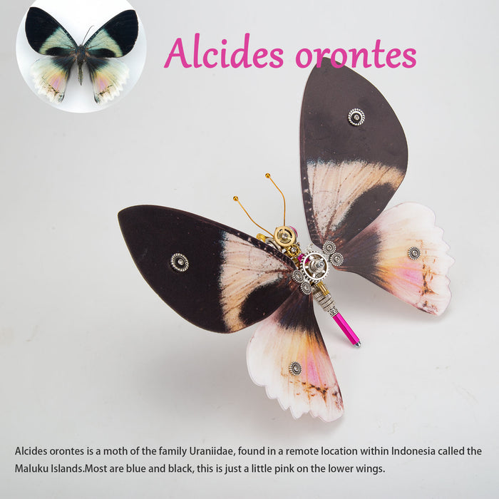 200PCS+ Steampunk Metal Assembly Butterfly Lymantria Punicea, Alcides Orontes & Pierisrapae Linne