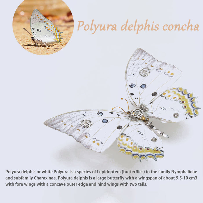 200PCS+Steampunk Metal Assembly Butterfly Sericinus Montelus Grey, Polyura Delphis Concha & Hebomoia Glaucippe