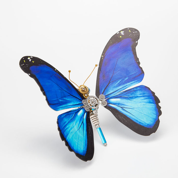 2pcs/set Steampunk Butterfly Metal Model Kits Mystery Box