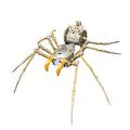 3D Metal Cyborg Human-face Spider Model Kit for Halloween 186PCS