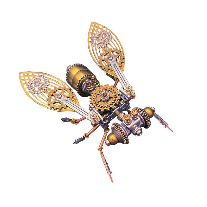 Fly C