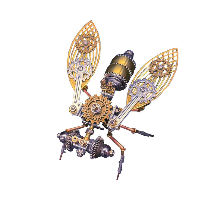 Fly B