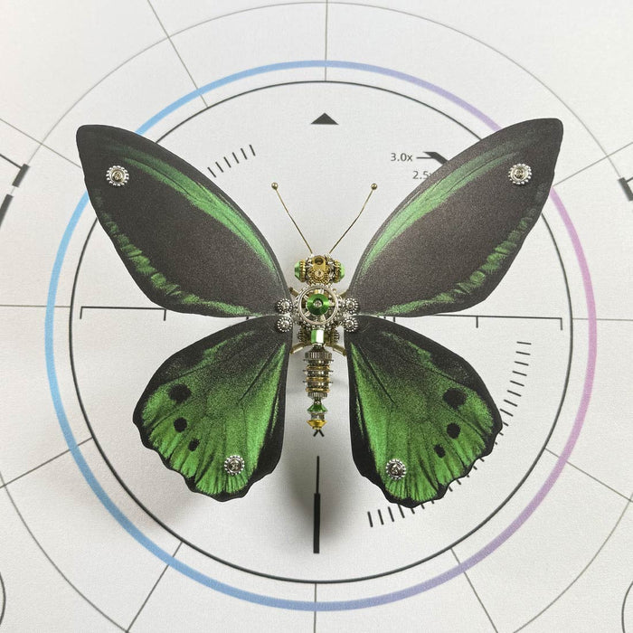 3D Metal Ornithoptera Birdwing Butterfly Steampunk Insect Model Kit