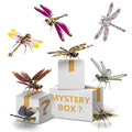 3pcs/set Steampunk mini Dragonfly 3D Metal Puzzle Mystery Box
