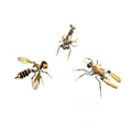 Mosquito + Earwigs + Bee Trinity