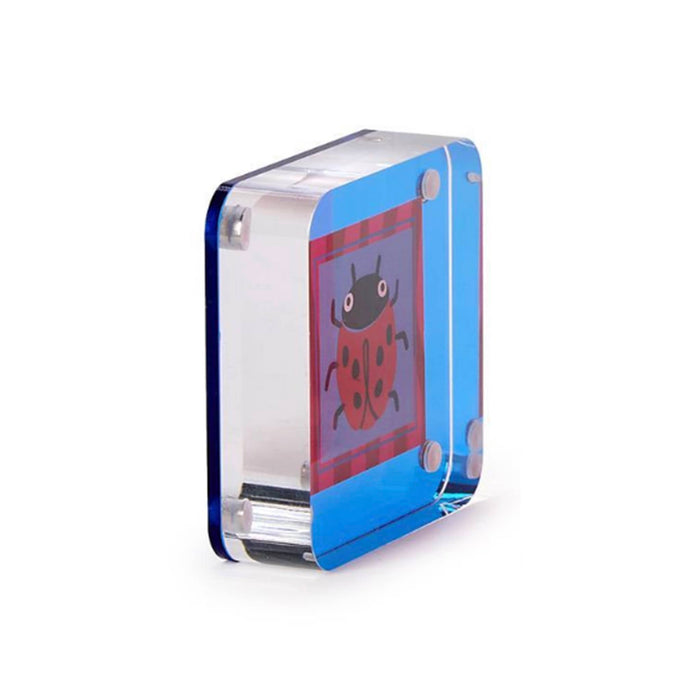 Small blue square acrylic frame with a ladybug design insert, side view, on a white background.