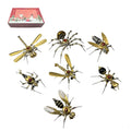 7 Days Advent Calendar 3D Metal Steampunk Insect Christmas Gift Set