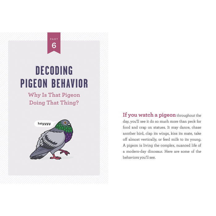 workman a pocket guide to pigeon watching sample page on decoding pigeon behavior with an illustration of a pigeon
