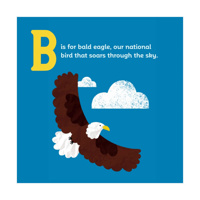 Illustration of a bald eagle with the letter 'B' and text about the national bird on a blue background.