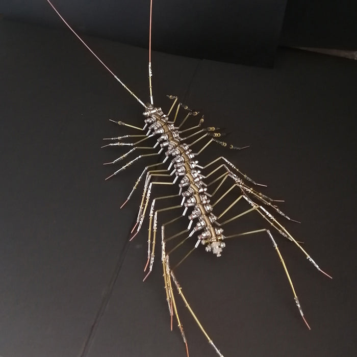 Biochemical Mechanical Scutigera Metal Model Building Kits Insect Art