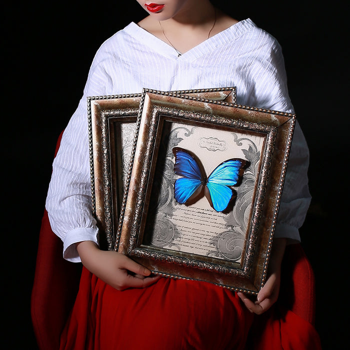 Blue Morpho Butterfly With Photo Frame Punk Taxidermy Model