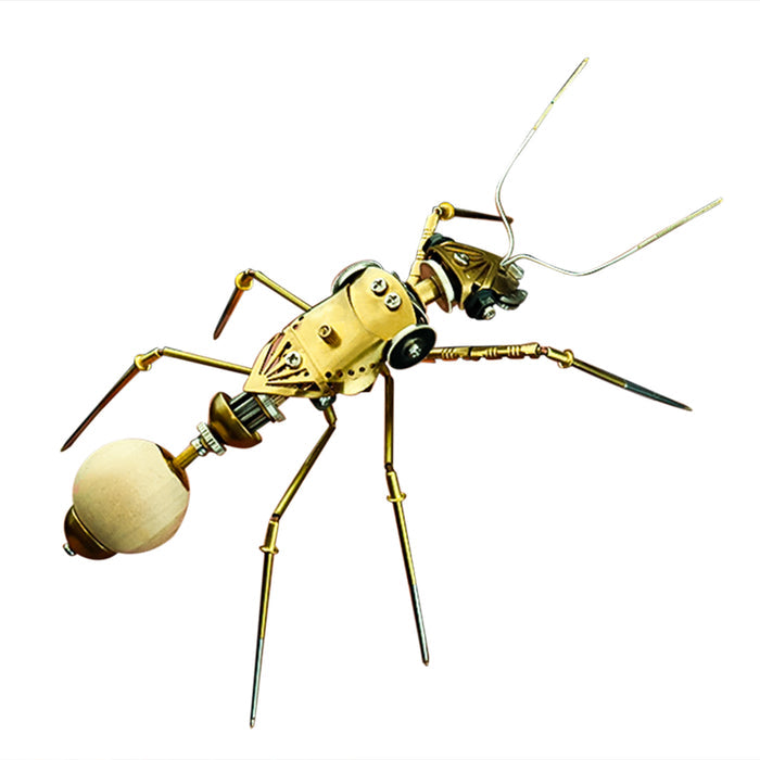 Ant