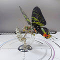 Build Your Own Steampunk Papilio phorcas Butterfly 3D Metal Model Kit for Beginner