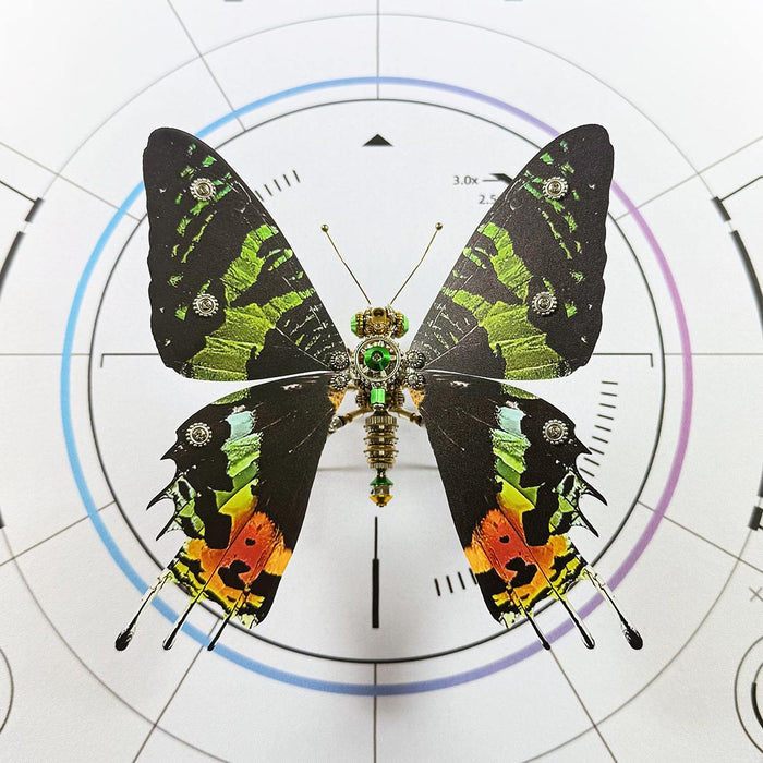 Build Your Own Steampunk Papilio phorcas Butterfly 3D Metal Model Kit for Beginner