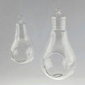 Bulb Glass Terrarium Air Plant Home Decor, 6-Inch