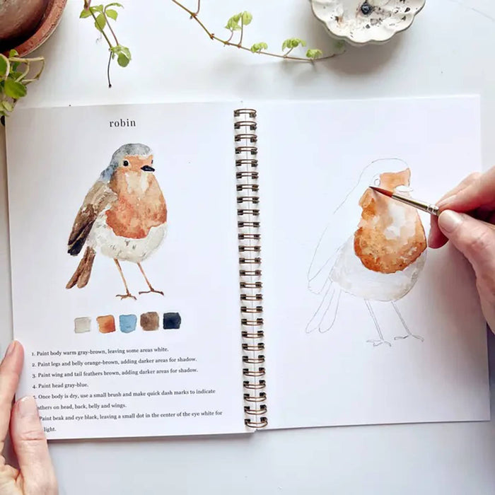Emily Lex Studio Birds Watercolor Workbook sample page with Robin.