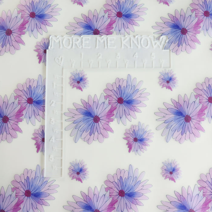 Frosted Violet Daisy | 18" Frosted Vinyl Roll
