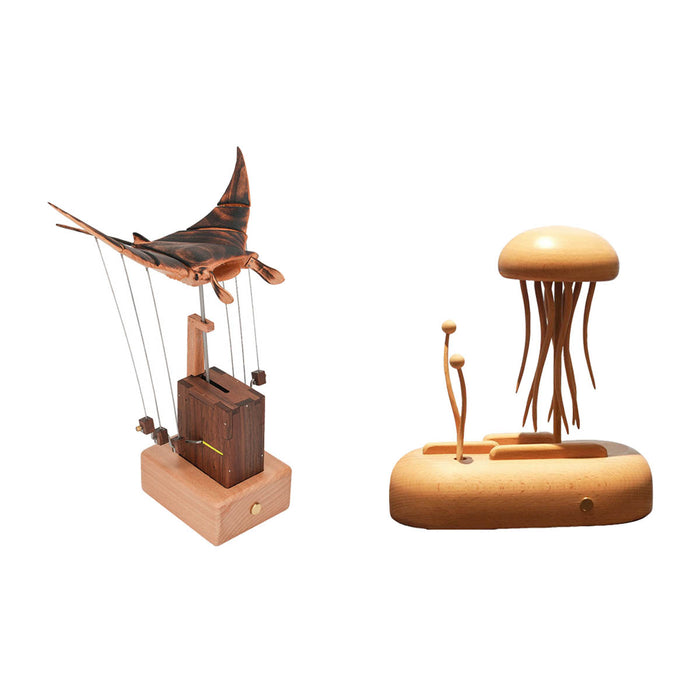 Manta Ray + Jellyfish