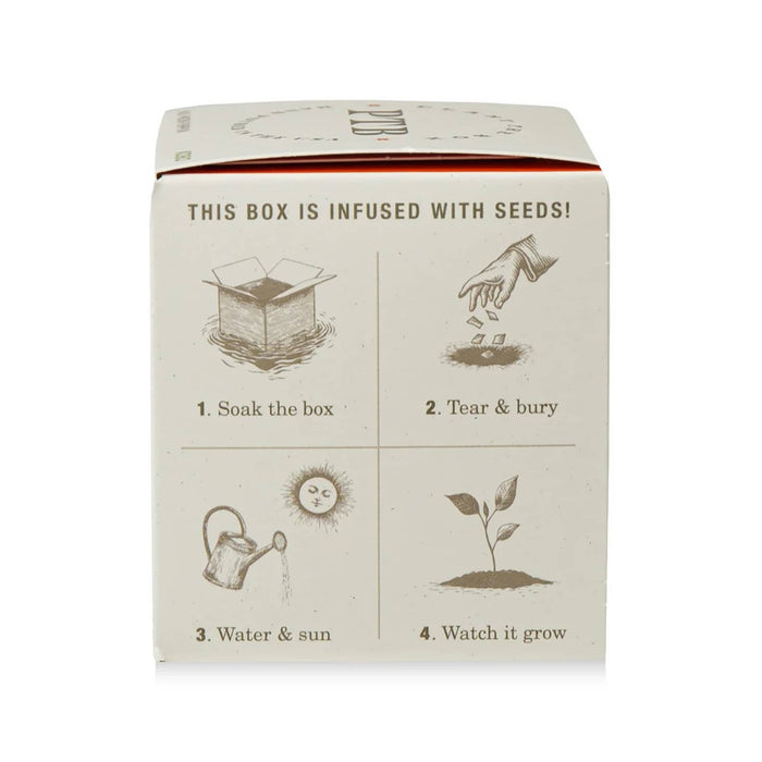 Box with instructions for planting seeds on a white background.