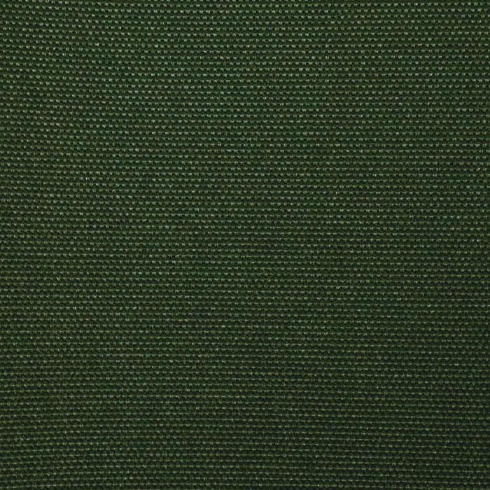 This ReNew Canvas solid is in a forest-y green shade.
