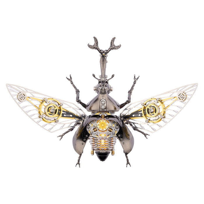 Rhinoceros Beetle / Black