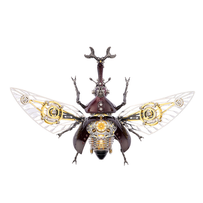 Rhinoceros Beetle / Brown