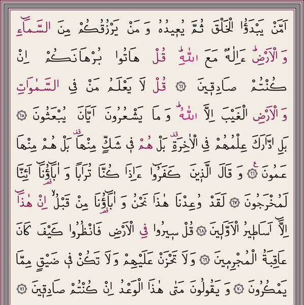 MediumSizeHolyQuran(2Colors,Pink,Sealed)