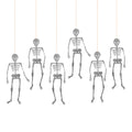 Six silver glitter hanging skeleton decorations suspended by thin orange strings on a plain white background.