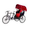 metal-diy-bicycle-simulated-retro-rickshaw-bike-model-fs-0060-black-red