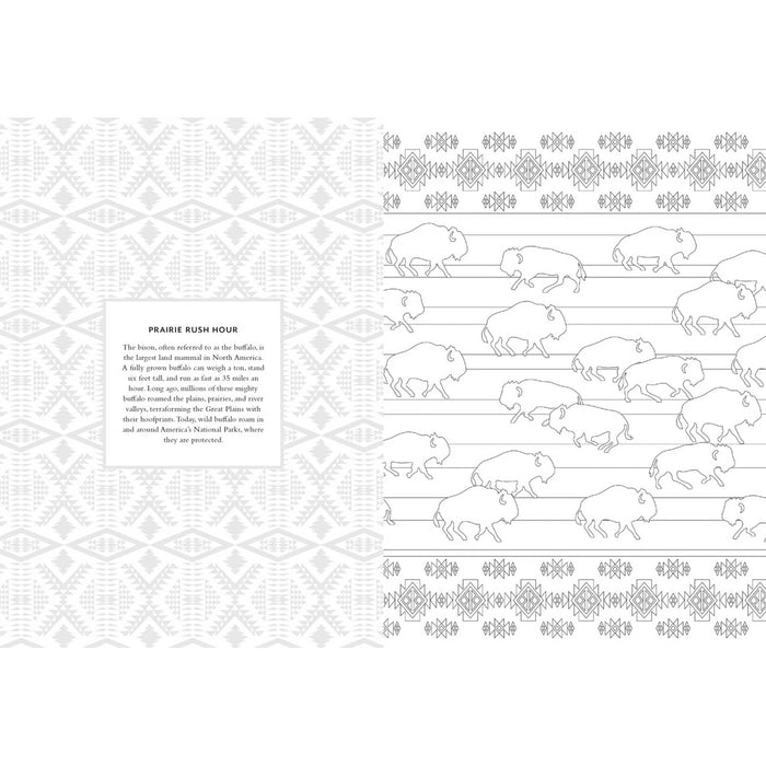 Sample pages from the Pendleton Coloring Book featuring the Prairie Rush Hour pattern.