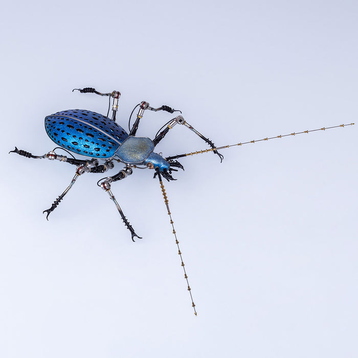 Purple Blue Metal Ground Beetle Steampunk Assembled Model Kits 3D Sculpture