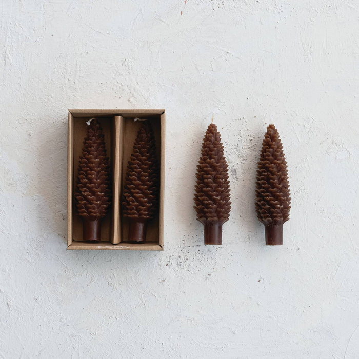 Two brown pinecone-shaped candles in a light brown cardboard box, with two additional candles placed beside the box on a textured off-white background.