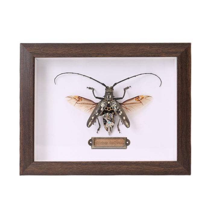 Steampunk Brown Long-horned  Beetle Batocera Horsfieldi Bug Insect