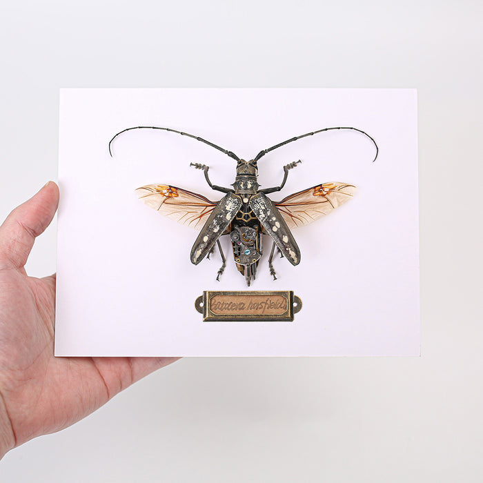 Steampunk Brown Long-horned  Beetle Batocera Horsfieldi Bug Insect