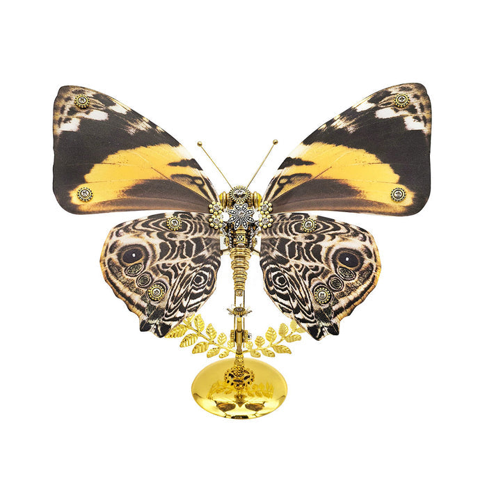 Peacock Pansy Butterfly