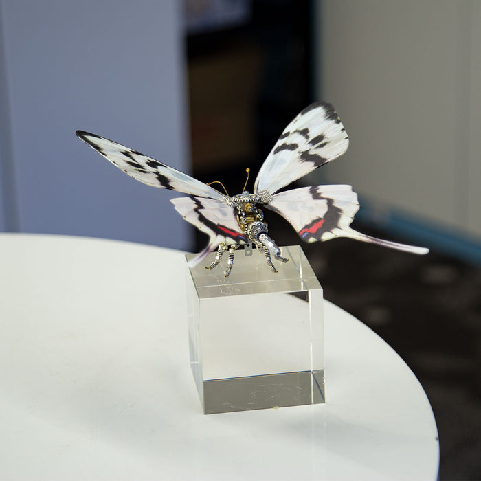 Steampunk Dragon Swallowtail Butterfly Metal Model Kits with Landscape Painting Art