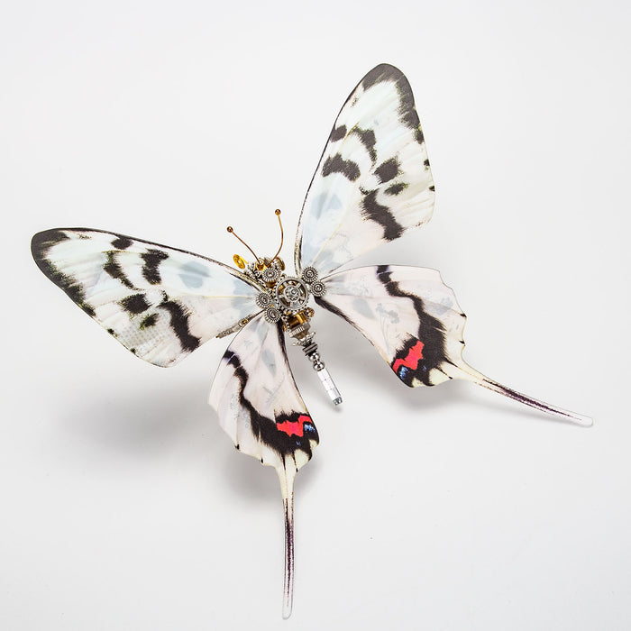 Steampunk Dragon Swallowtail Butterfly Metal Model Kits with Landscape Painting Art