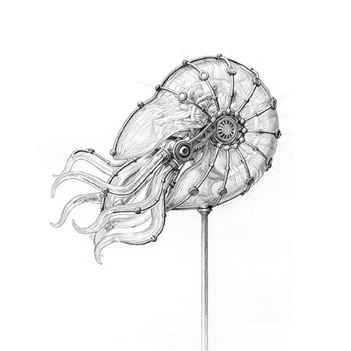 Steampunk Mechanical Nautilus LED Light Ocean Creature Art Display Desktop Decoration