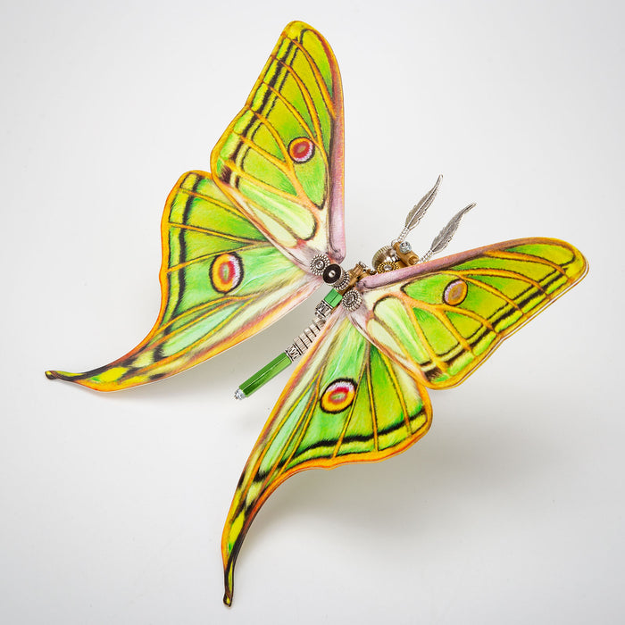 Steampunk Metal Spanish moon Moth 3D Model Puzzle Kits